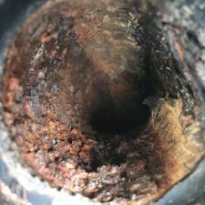 echo park corroded pipe