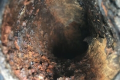 Echo Park Corroded Pipe